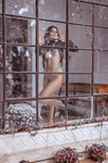 Diamond Brazil - Julia Angeloni