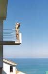 Flavia Alessandra Pelada - Playboy