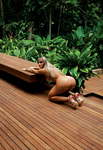 JUJU SALIMENI PELADA PLAYBOY