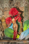 Diamond Brazil - Larissa Maximiano