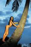 Colírio Brasil 54 | Patrícia Monteiro