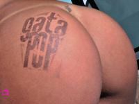 Todos os carimbos do GataPop