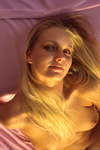 Nikol A.