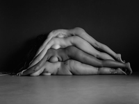Poesia com Elos - @poesiacomelos