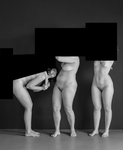 Poesia com Elos - @poesiacomelos