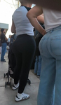 Duas irmãs MILFs com troncos extragrandes