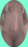 O Peitinho, Rabo e o Bucetão da minha esposa gostosa