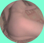 O Peitinho, Rabo e o Bucetão da minha esposa gostosa