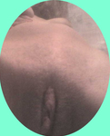 O Peitinho, Rabo e o Bucetão da minha esposa gostosa