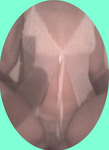 O Peitinho, Rabo e o Bucetão da minha esposa gostosa