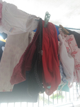Calcinha no varal