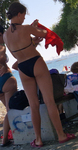 Ninfeta de biquine preto